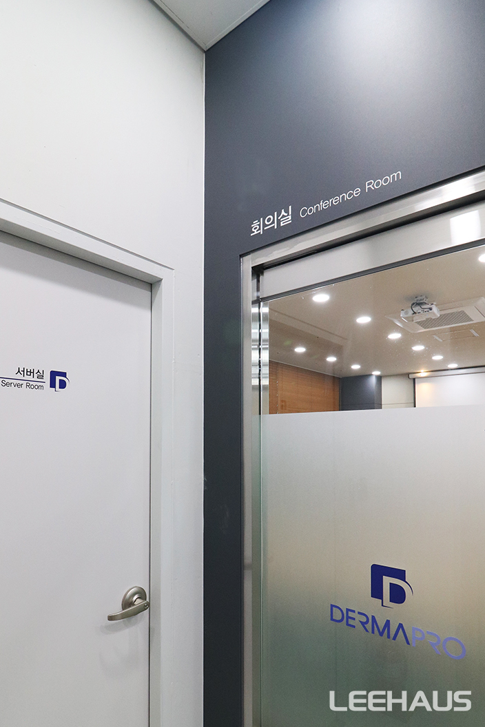 더마프로 11